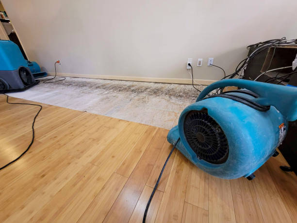 Professional Flood Damage Cleanup technician working in Lone Oak, TN